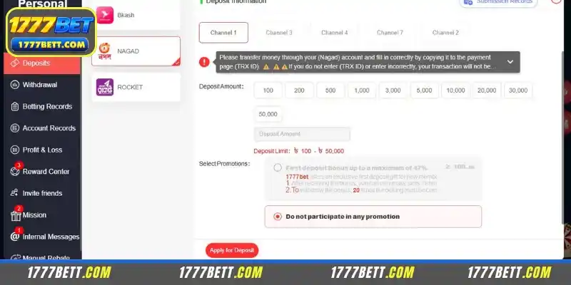 Prerequisites for 1777Bet Deposit
