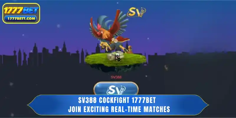 SV388 Cockfight 1777Bet - Join Exciting Real-Time Matches